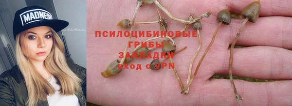 МДПВ Арсеньев