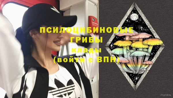 прущая мука Корсаков