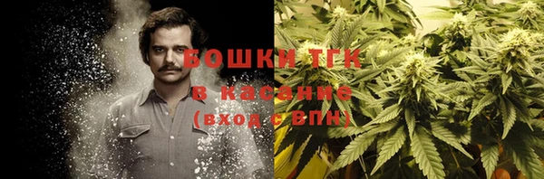 тгк Аркадак